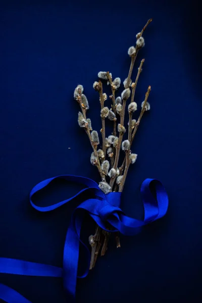 Koncepcja Karty Wielkanocnej Gałęziami Wierzby Klasycznym Niebieskim Tle Przestrzenią Kopiowania — Zdjęcie stockowe