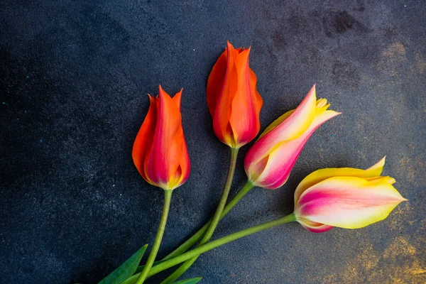 Bonito Buquê Flores Tulipa Como Presente Férias Interior — Fotografia de Stock