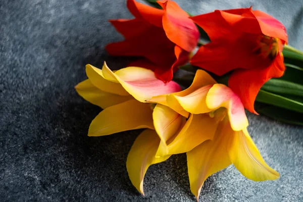 Piękny Bukiet Kwiatów Tulipan Jako Prezent Wakacje Wnętrzu — Zdjęcie stockowe