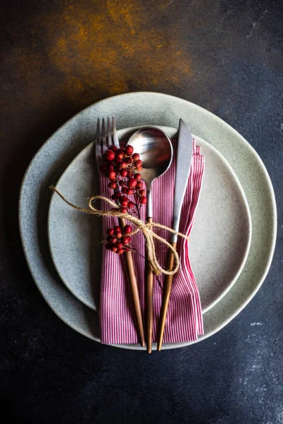 Autumnal Table Setting Dried Wild Red Berries Stone Background Copy — Stock Photo, Image