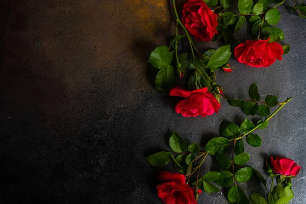 Свіжі Червоні Троянди Темному Бетонному Фоні Копією Простору Концепція Подарункової — стокове фото