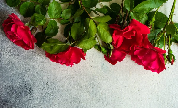 Cornice Con Rose Rosse Fresche Sfondo Concreto Con Spazio Copia — Foto Stock