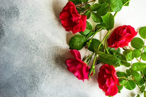 Рамка Свіжими Червоними Трояндами Бетонному Фоні Копією Простору Концепція Подарункової — стокове фото