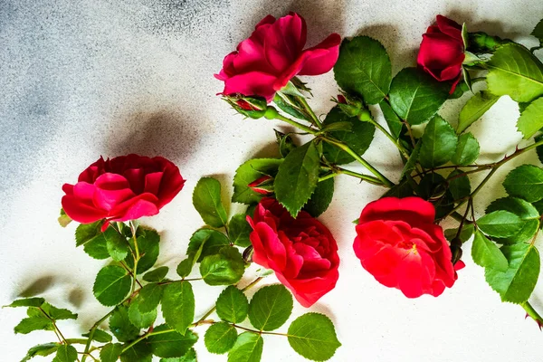 Рамка Свіжими Червоними Трояндами Бетонному Фоні Копією Простору Концепція Подарункової — стокове фото