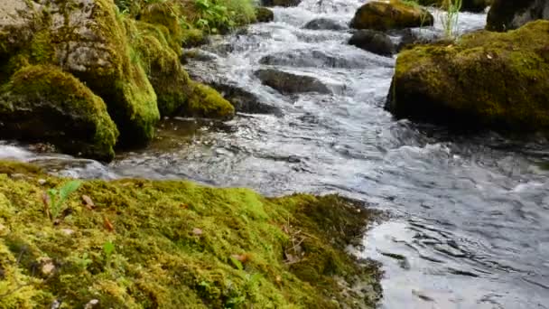 Le ruisseau de montagne 