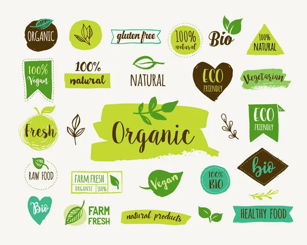 Biologia, Ecologia, logótipos e ícones orgânicos, rótulos, etiquetas. Emblemas de comida bio saudável desenhados à mão, conjunto de sinais alimentares crus, veganos, saudáveis, orgânicos e elementos definidos —  Vetores de Stock