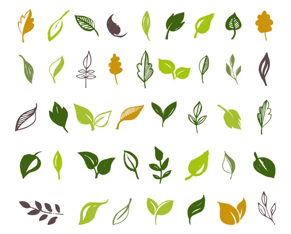 Set hand getrokken verlaat, groene blad, schetsen en doodles van blad en planten, groene bladeren vector collectie — Stockvector