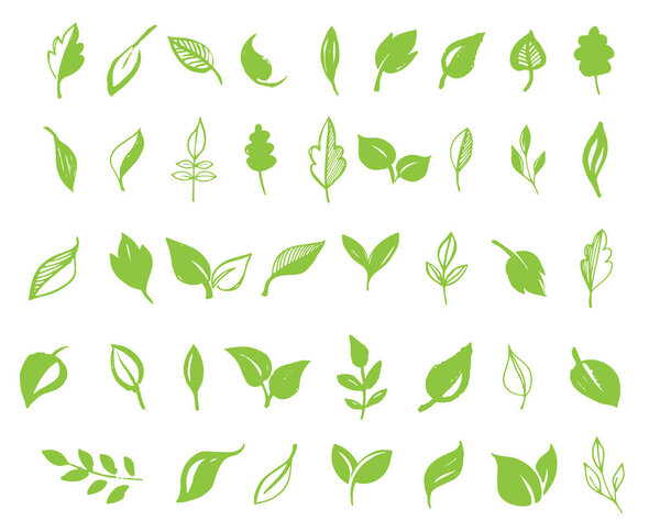 Набор рисованных вручную листьев, зеленый лист, эскизы и каракули из листьев и растений, коллекция векторов зеленых листьев
