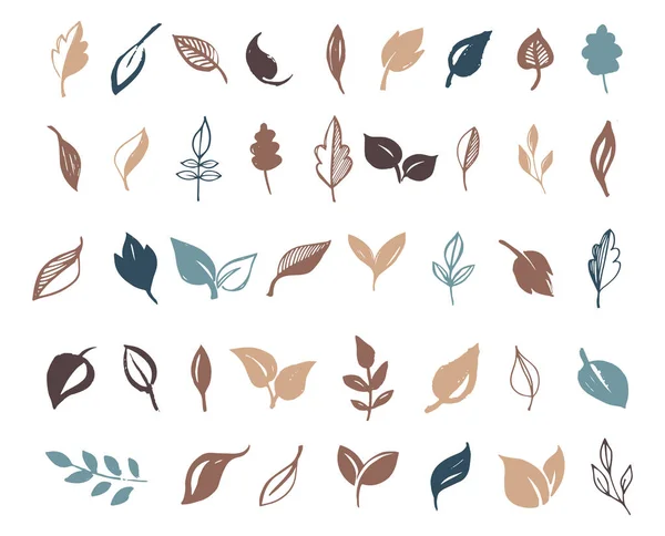 Set hand getrokken verlaat, groene blad, schetsen en doodles van blad en planten, groene bladeren vector collectie — Stockvector