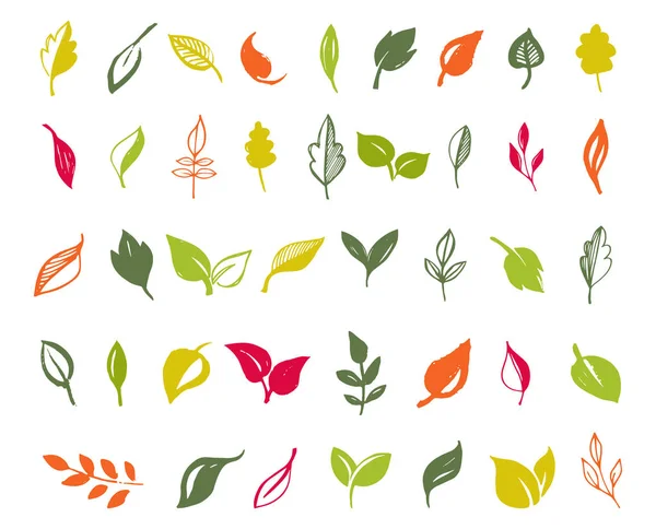 Set hand getrokken verlaat, groene blad, schetsen en doodles van blad en planten, groene bladeren vector collectie — Stockvector