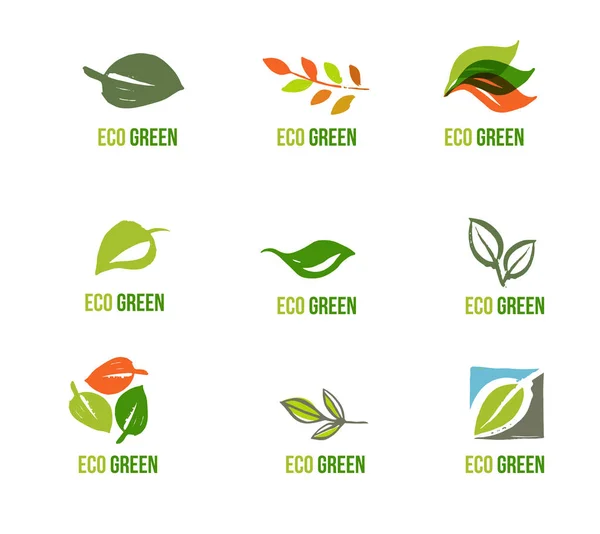 Conjunto de logotipos de hojas dibujadas a mano, hoja verde, bocetos y garabatos de hojas y plantas, colección de vectores de hojas verdes — Vector de stock