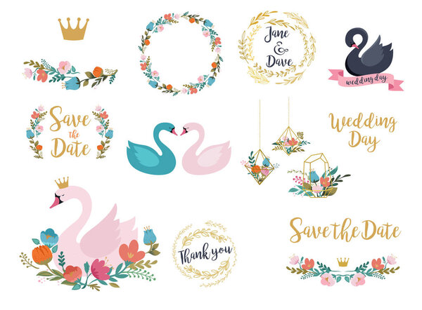 Wedding and birthday set with swan illustrations, lettering, flowers and elements