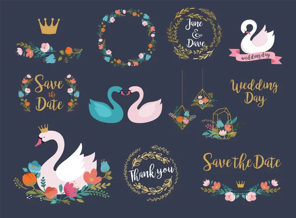 Set de boda y cumpleaños con ilustraciones de cisne, letras, flores y elementos — Archivo Imágenes Vectoriales