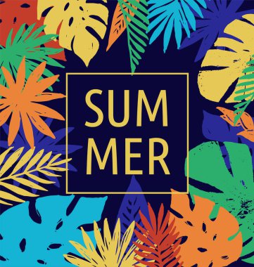 palmiye yaprakları ile arka plan