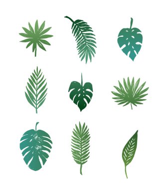 palmiye yaprakları topluluğu