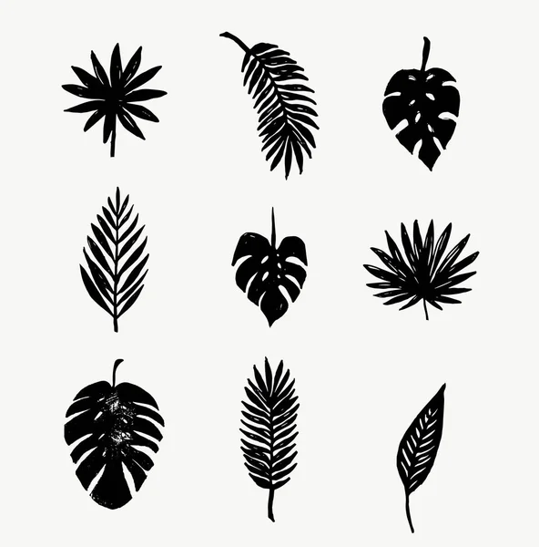 Sfondo con foglie di palma — Vettoriale Stock
