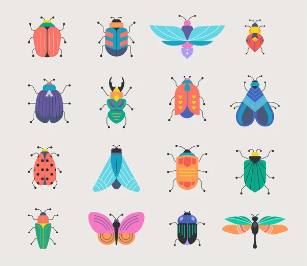 Käfer, Insekten, Schmetterling, Marienkäfer — Stockvektor