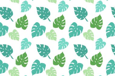 Yaz, tropikal Cennet plaj