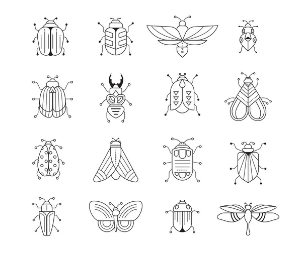 Bugs, insetos, Borboleta, conjunto de joaninhas — Vetor de Stock