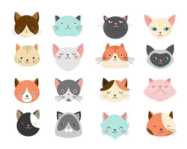 Collection of cats illustrations — Stock Vector