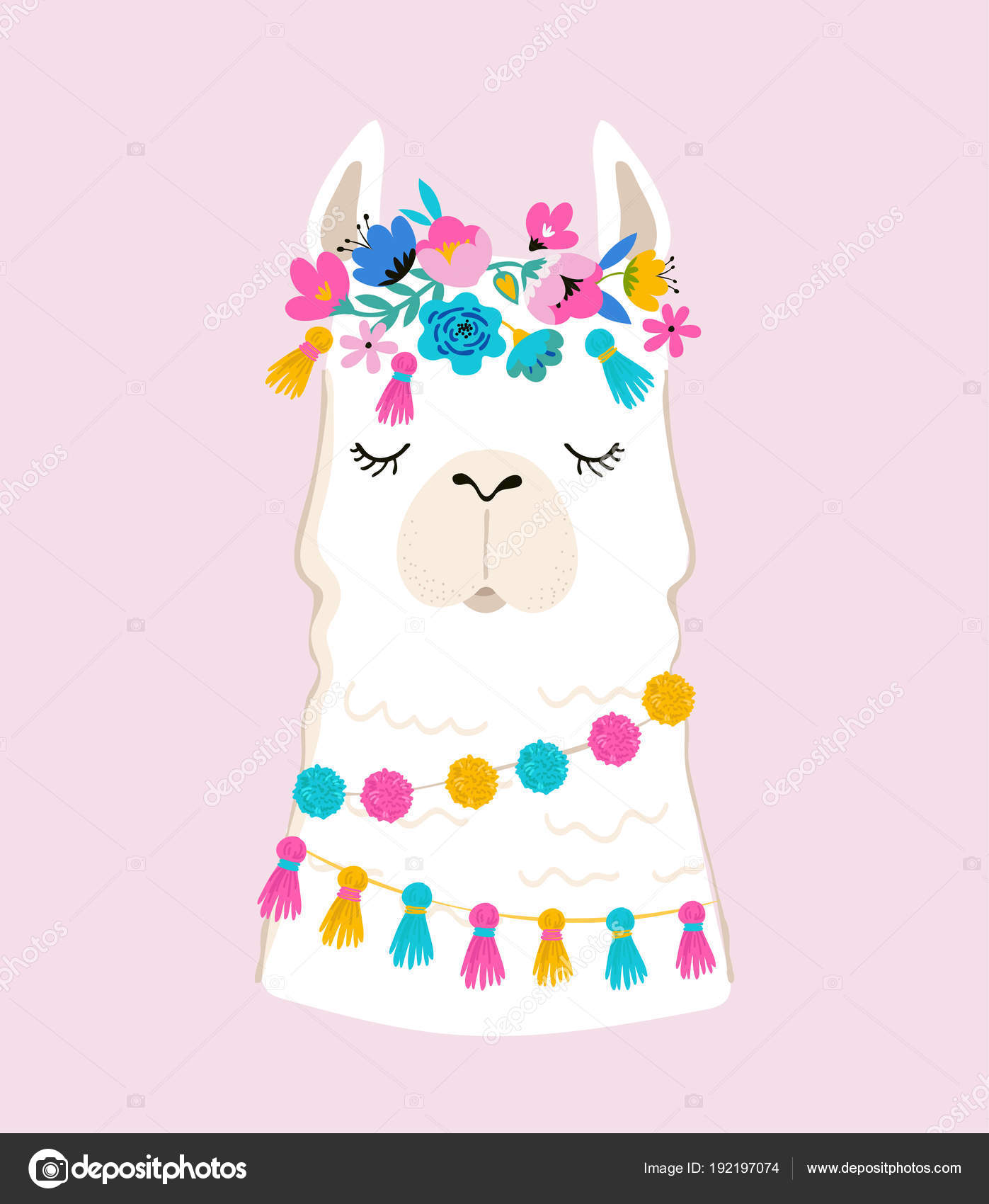 7 4 Llama Cartoon Vectors Free Royalty Free Llama Cartoon Vector Images Depositphotos