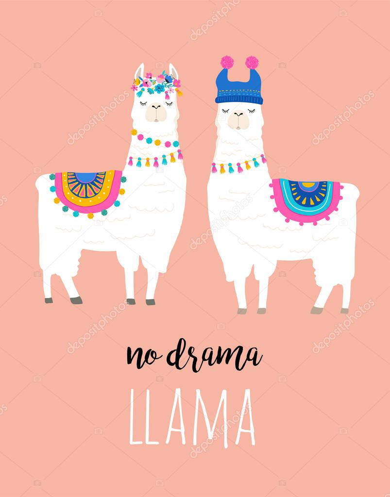 Llama illustration, cute hand drawn elements and design for nursery design, poster, greeting card