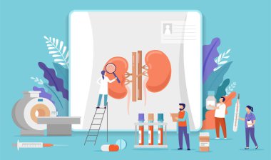 Research scientists. Science laboratory, chemistry scientists and clinical lab. Medical research items, clinical science laboratories experiments. Kidney inspection, concept vector illustration
