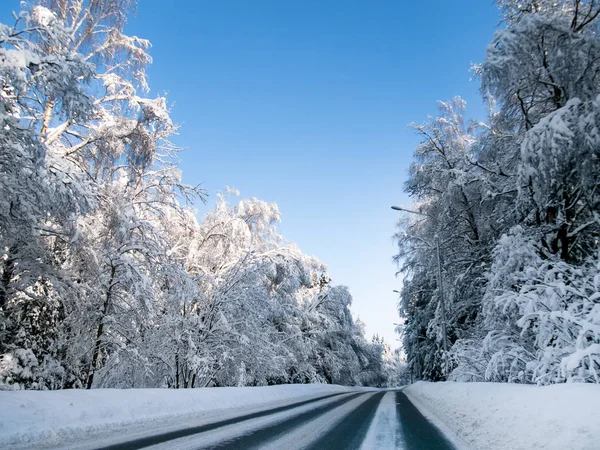 Дорога Лесу Солнечный Зимний День После Сильного Снегопада — стоковое фото
