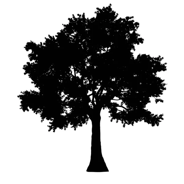 Silueta vista lateral del árbol aislado - negro - vector — Vector de stock