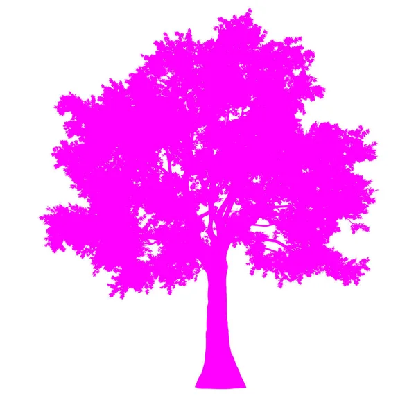 Silueta vista lateral del árbol aislado - púrpura - vector — Vector de stock