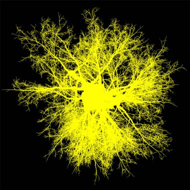 ağaç yapraksız üstten görünüm siluet izole - sarı - vektör