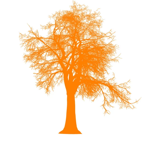 Tree leafless side view silhouette isolated - orange - vector — Stock Vector