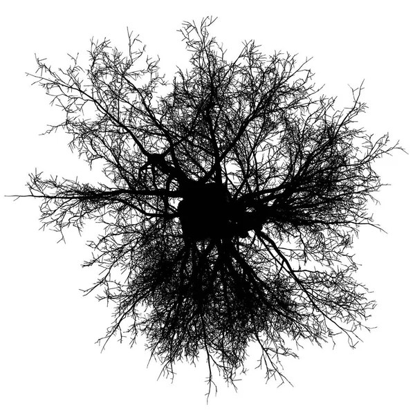 Träd avlövade ovanifrån siluett isolerade - svart - vektor — Stock vektor