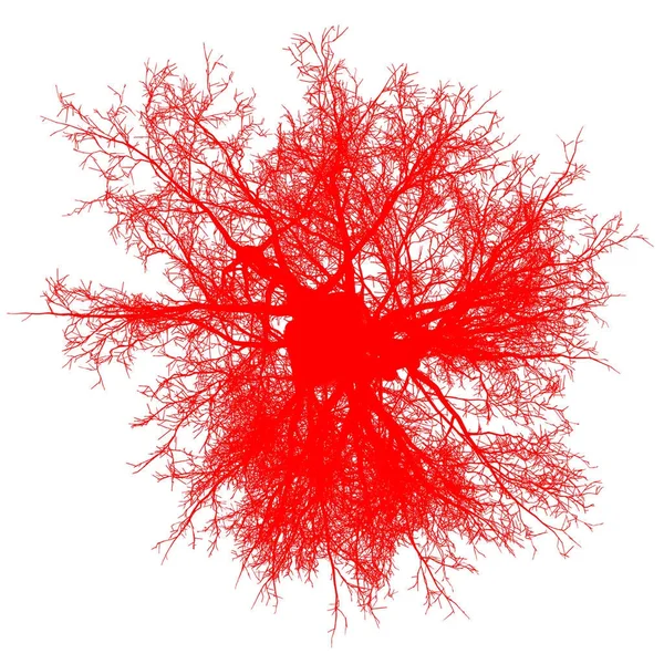 Träd avlövade ovanifrån siluett isolerade - röd - vektor — Stock vektor