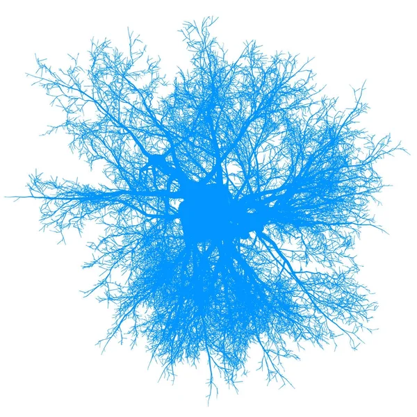 Baum blätterlose Silhouette von oben isoliert - blau - Vektor — Stockvektor