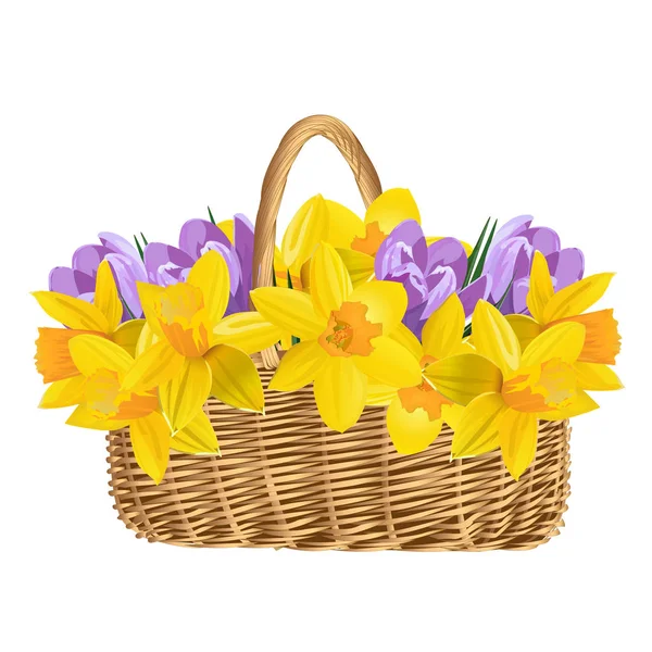 Basket with spring flowers isolated on white background. Wicker — Stock Vector
