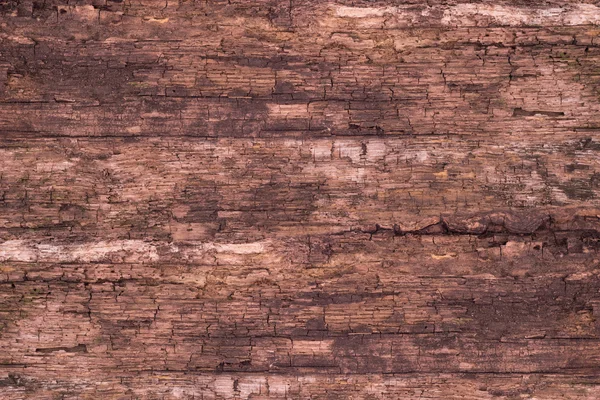 Old wood background. — Stock Photo, Image