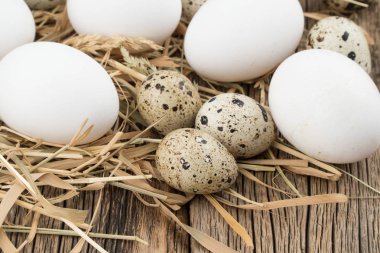 Tavuk ve Bıldırcın yumurta saman ve ahşap tablo.