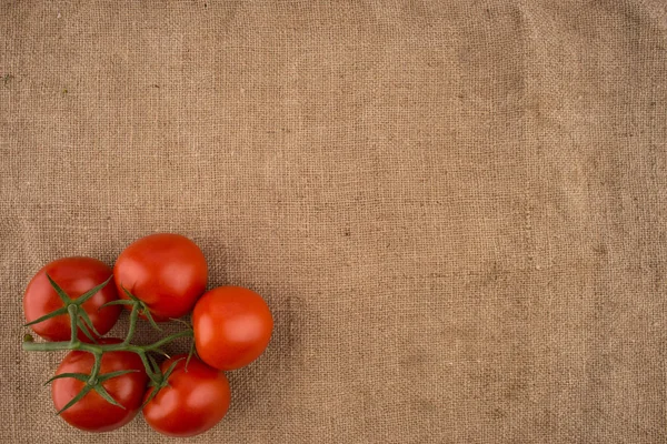 Fresh tomatoes on sacking. — Stock Photo, Image