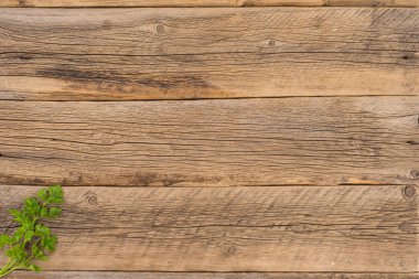 Eski ahşap masa maydanoz fışkın.