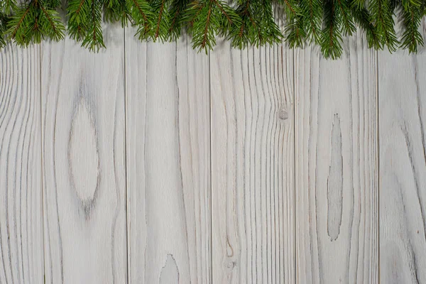 Green spruce branches on white wooden background. — Stock Photo, Image