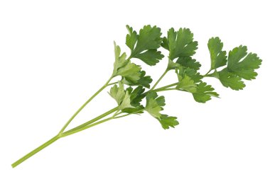 Beyaz maydanozlu taze maydanoz