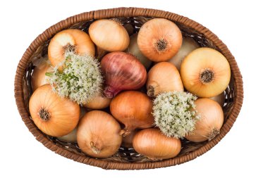 sepet beyaz bir arka plan üzerinde izole soğan ile. 