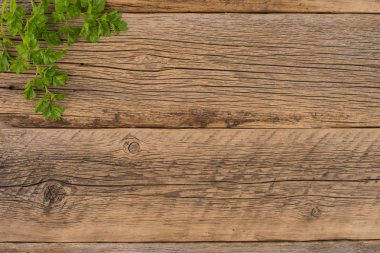 eski ahşap masa maydanoz. 