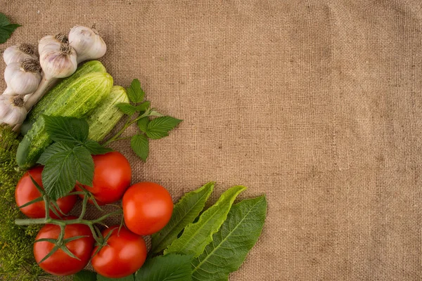 Cucumbers, tomatoes, garlic and dill on the background of old sa — Stock Photo, Image