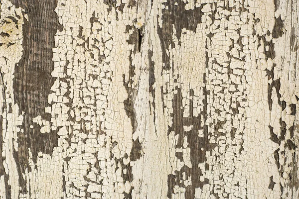 White wood texture background. — Stock Photo, Image