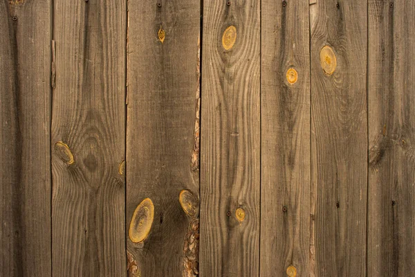 Текстура дерева. фоновые панели. — стоковое фото