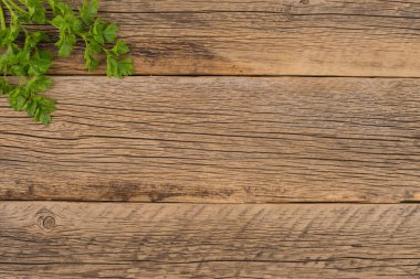 Eski ahşap masa maydanoz fışkın. 