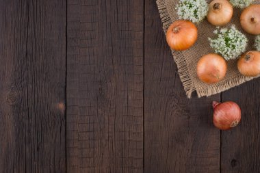 Soğan eski ahşap tablo. 