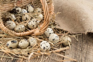 Bıldırcın yumurtası eski ahşap masa üzerinde bir sepet içinde. 